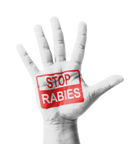 Geef rabies geen kans : met inenting van uw huisdieren